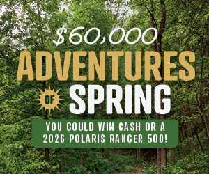 $60,000 Adventures of Spring